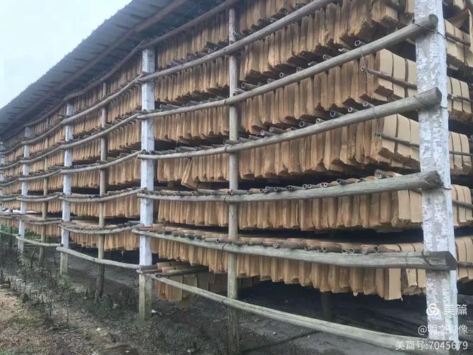 肇庆四会邓村:寻访中国民间造纸第一村